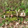 04 Aktion April 25 Feen und Wichtelwald